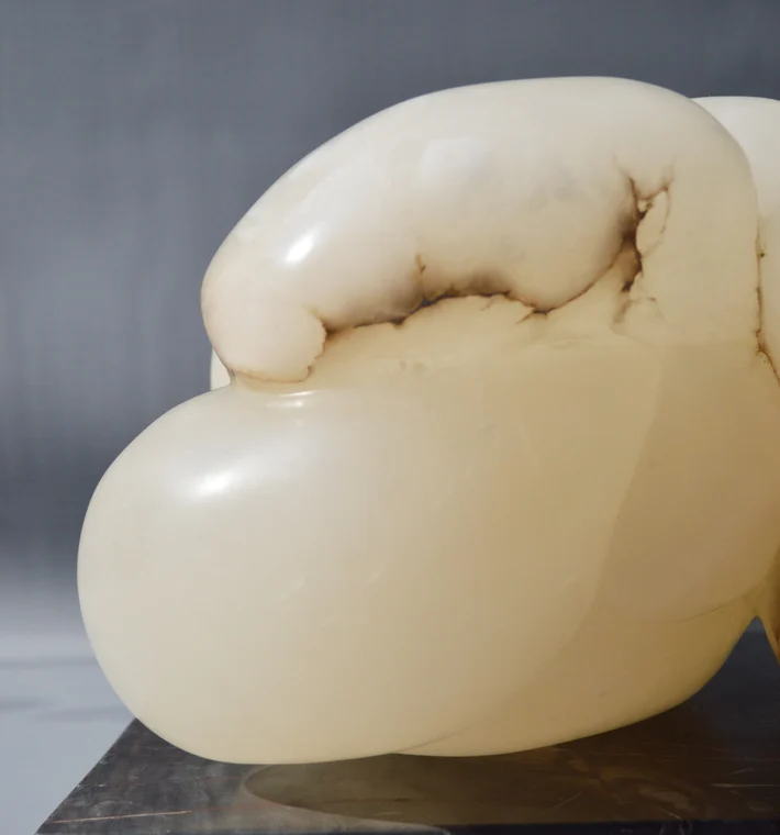 Conglomerate 7 Sunlight 