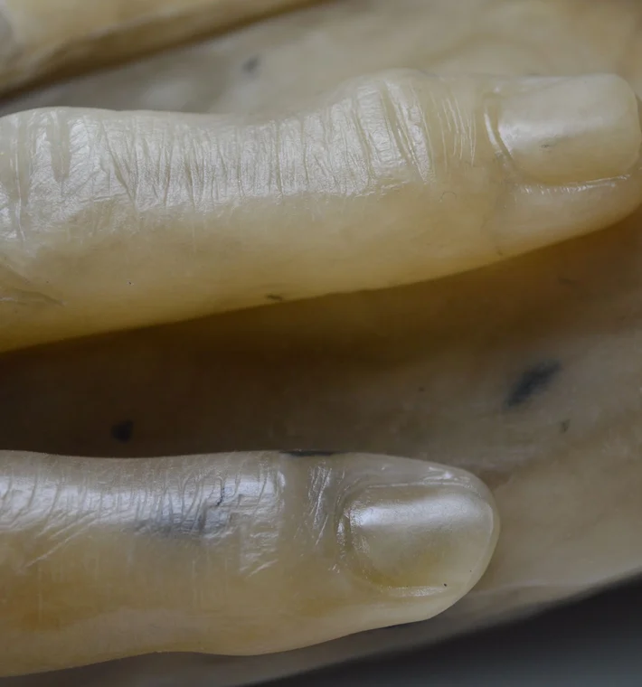 The Hand Of Fannie Storr 2